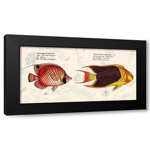Tropical fish III-  After Bloch Black Modern Wood Framed Art Print by Lamanche, Stef