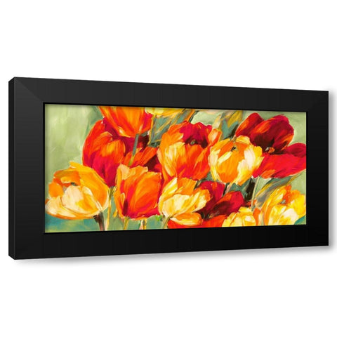 Field of Tulips Black Modern Wood Framed Art Print with Double Matting by Stone, Jim