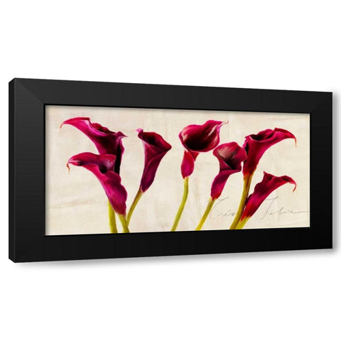 Tres Jolie Black Modern Wood Framed Art Print with Double Matting by Rizzardi, Teo