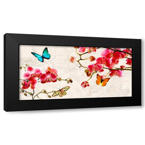 Orchids and Butterflies Black Modern Wood Framed Art Print with Double Matting by Rizzardi, Teo