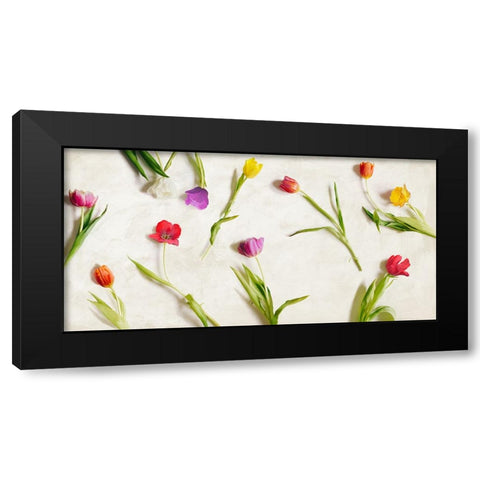 Cut Tulips Black Modern Wood Framed Art Print by Rizzardi, Teo