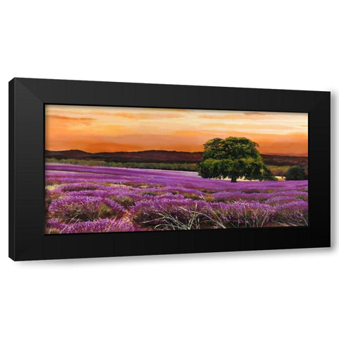 Campo di lavanda Black Modern Wood Framed Art Print by Sella, Valerio