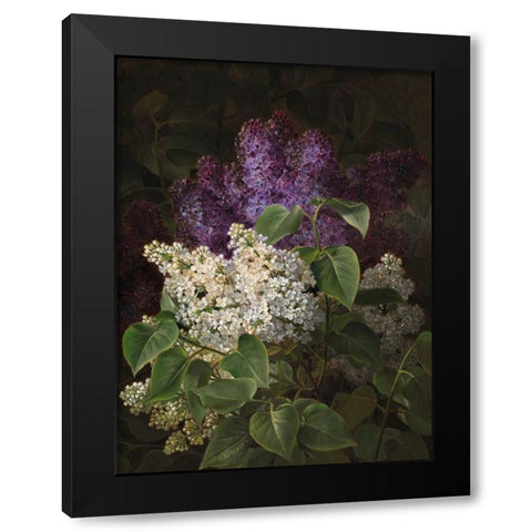 White and violet lilac Black Modern Wood Framed Art Print with Double Matting by Jensen, Johan Laurentz