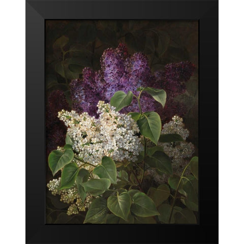 White and violet lilac Black Modern Wood Framed Art Print by Jensen, Johan Laurentz