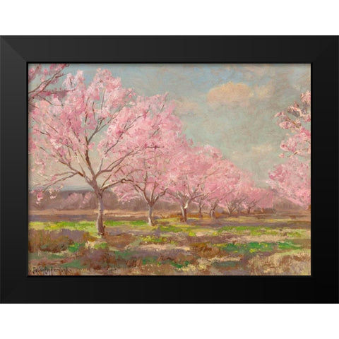 Peach orchard on Mavericks farm Black Modern Wood Framed Art Print by Onderdonk, Julian