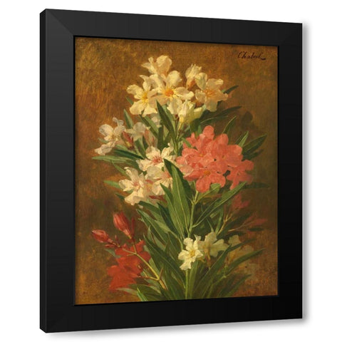 Rot und weiss bluhender Oleander Black Modern Wood Framed Art Print by Chabal-Dussergey, Pierre Adrien