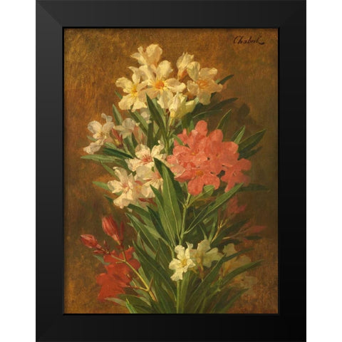Rot und weiss bluhender Oleander Black Modern Wood Framed Art Print by Chabal-Dussergey, Pierre Adrien