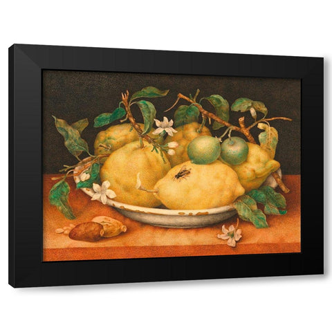 Natura morta con cedri Black Modern Wood Framed Art Print by Giovanna, Garzoni