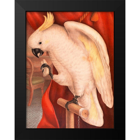 Great Sulphur-Crested Cockatoo Black Modern Wood Framed Art Print by James Whitley, Sayer