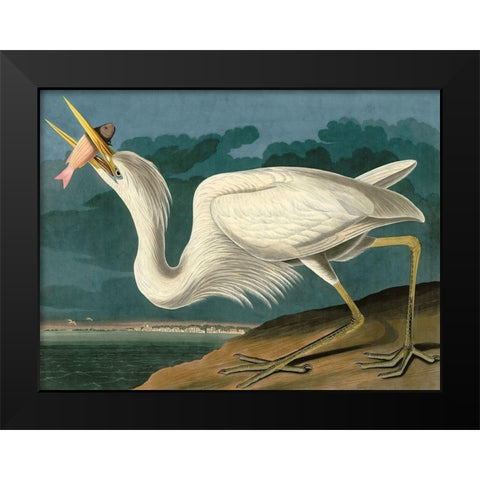 Great White Heron Black Modern Wood Framed Art Print by John James, Audubon