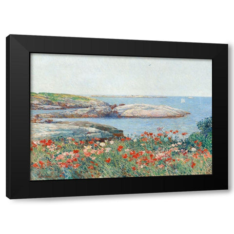 Poppies- Isles of Shoals Black Modern Wood Framed Art Print with Double Matting by Hassam, Childe