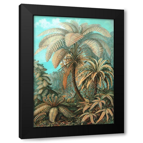 Filicinae Black Modern Wood Framed Art Print by Haeckel, Ernst