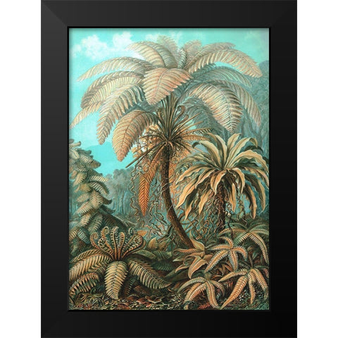 Filicinae Black Modern Wood Framed Art Print by Haeckel, Ernst