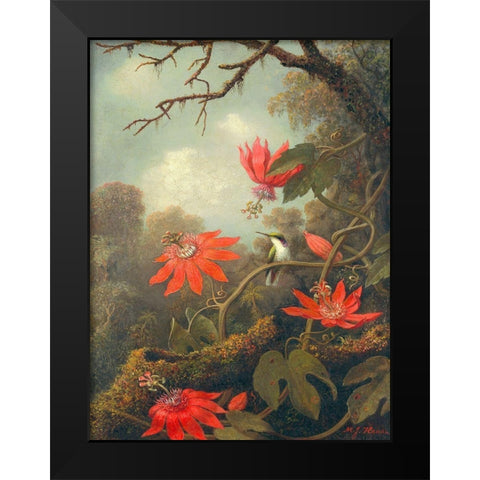 Hummingbird and Passionflowers Black Modern Wood Framed Art Print by Heade, Martin Johnson