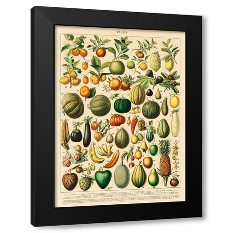 Fruits and Vegetables Black Modern Wood Framed Art Print with Double Matting by Millot, Adolphe
