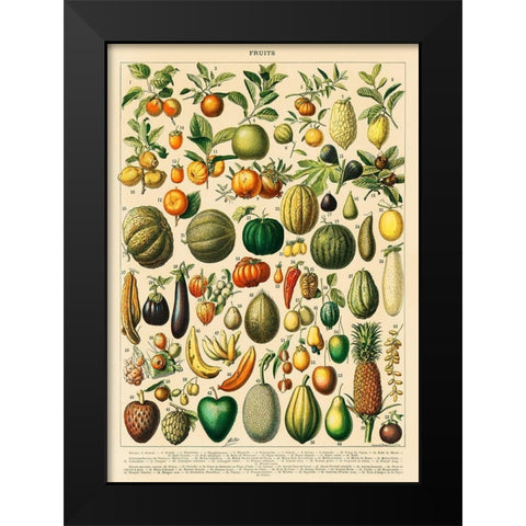Fruits and Vegetables Black Modern Wood Framed Art Print by Millot, Adolphe