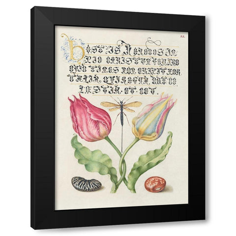 From the Model Book of Calligraphy-I Black Modern Wood Framed Art Print with Double Matting by Hoefnagel, Bocskay