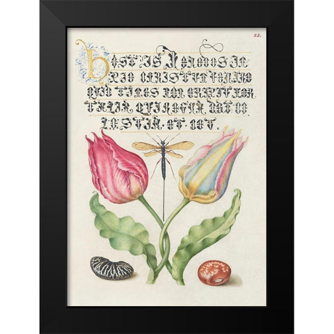 From the Model Book of Calligraphy-I Black Modern Wood Framed Art Print by Hoefnagel, Bocskay