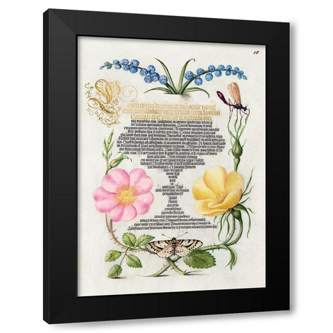 From the Model Book of Calligraphy-II Black Modern Wood Framed Art Print with Double Matting by Hoefnagel, Bocskay