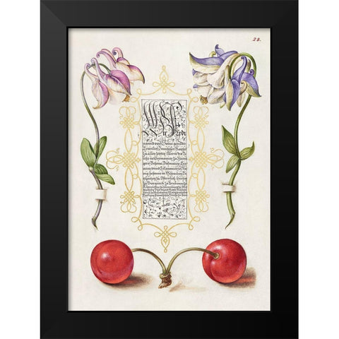 From the Model Book of Calligraphy-III Black Modern Wood Framed Art Print by Hoefnagel, Bocskay