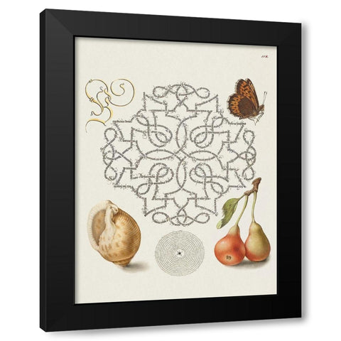 From the Model Book of Calligraphy-IV Black Modern Wood Framed Art Print with Double Matting by Hoefnagel, Bocskay