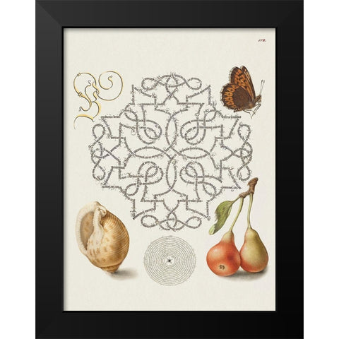 From the Model Book of Calligraphy-IV Black Modern Wood Framed Art Print by Hoefnagel, Bocskay