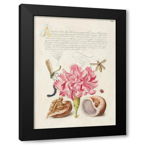 From the Model Book of Calligraphy-V Black Modern Wood Framed Art Print by Hoefnagel, Bocskay