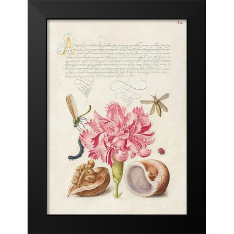 From the Model Book of Calligraphy-V Black Modern Wood Framed Art Print by Hoefnagel, Bocskay