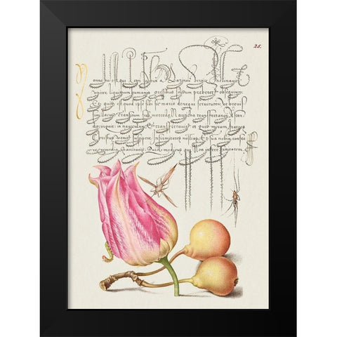 From the Model Book of Calligraphy-VII Black Modern Wood Framed Art Print by Hoefnagel, Bocskay