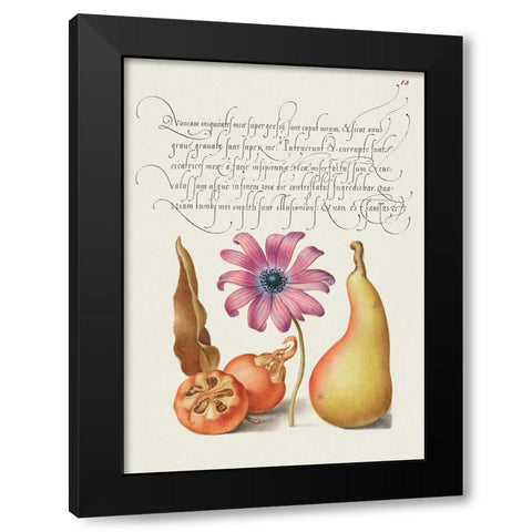 From the Model Book of Calligraphy-VIII Black Modern Wood Framed Art Print with Double Matting by Hoefnagel, Bocskay