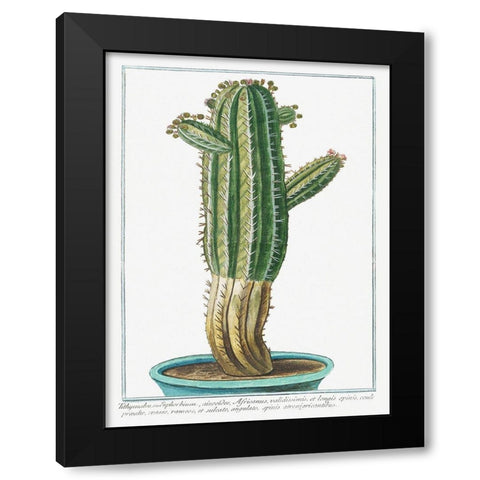 Tithymalus Black Modern Wood Framed Art Print with Double Matting by Bonelli, Giorgio