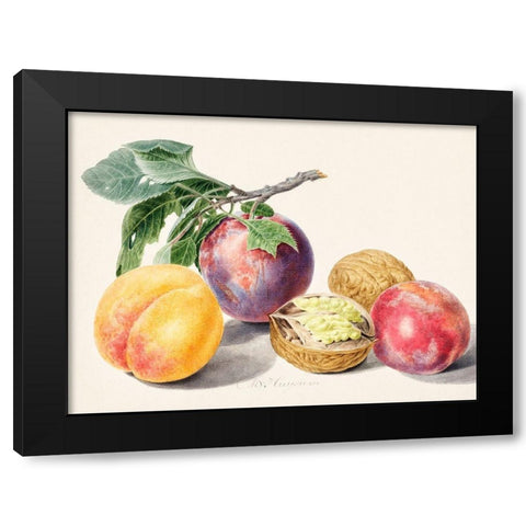 Fruits I Black Modern Wood Framed Art Print by van Huysum, Michiel
