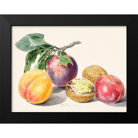 Fruits I Black Modern Wood Framed Art Print by van Huysum, Michiel