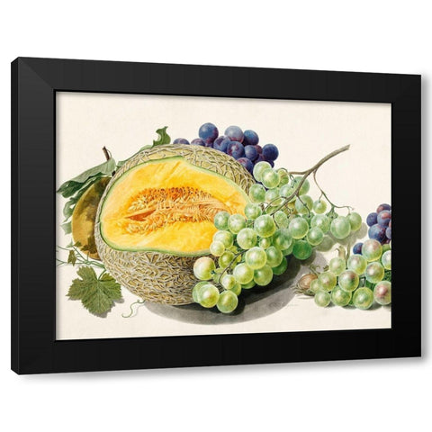 Fruits II Black Modern Wood Framed Art Print by van Huysum, Michiel