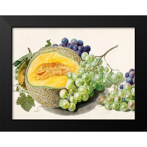 Fruits II Black Modern Wood Framed Art Print by van Huysum, Michiel