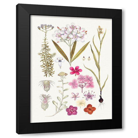 Hand drawn pink flowers Black Modern Wood Framed Art Print with Double Matting by Anonymous