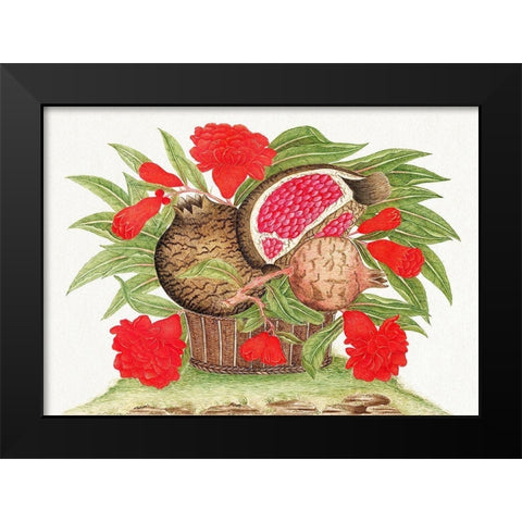 Basket of pomegranates Black Modern Wood Framed Art Print by Anonymous