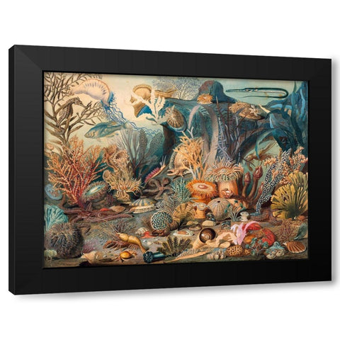Ocean Life Black Modern Wood Framed Art Print by Sommerville, James M.