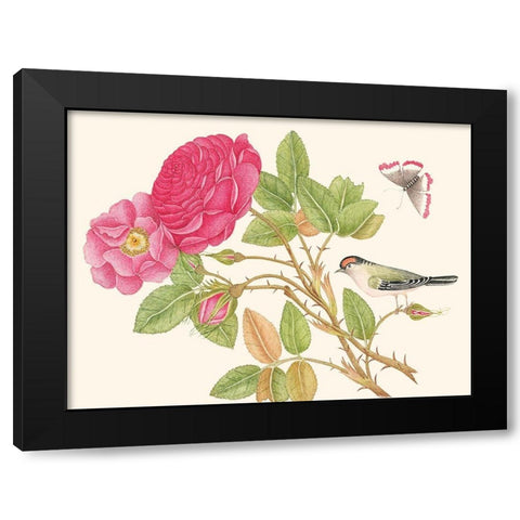 A bird on rose branch Black Modern Wood Framed Art Print by Anonymous