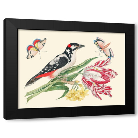 A Bird on Tulip stem with Daffodils Black Modern Wood Framed Art Print by Anonymous