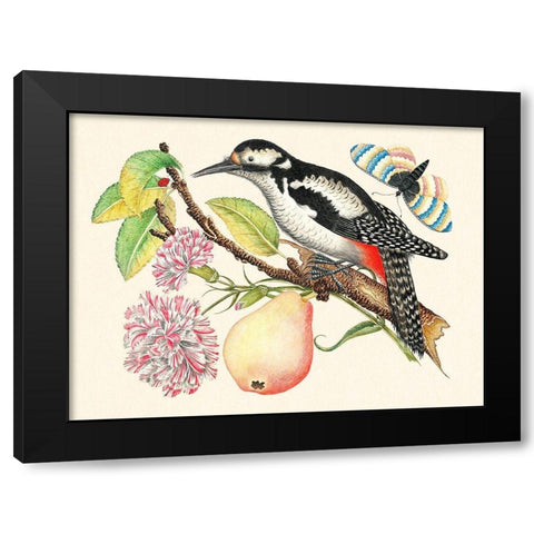 A bird perched on a branch I Black Modern Wood Framed Art Print by Anonymous