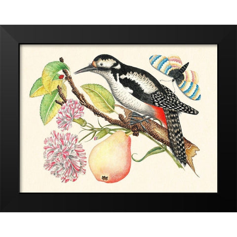 A bird perched on a branch I Black Modern Wood Framed Art Print by Anonymous
