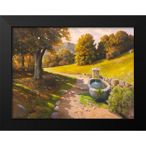 Sentiero tra i boschi Black Modern Wood Framed Art Print by Galasso, Adriano