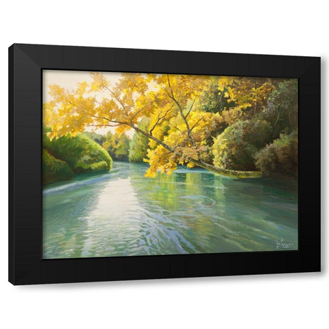 Fiume sereno Black Modern Wood Framed Art Print with Double Matting by Galasso, Adriano