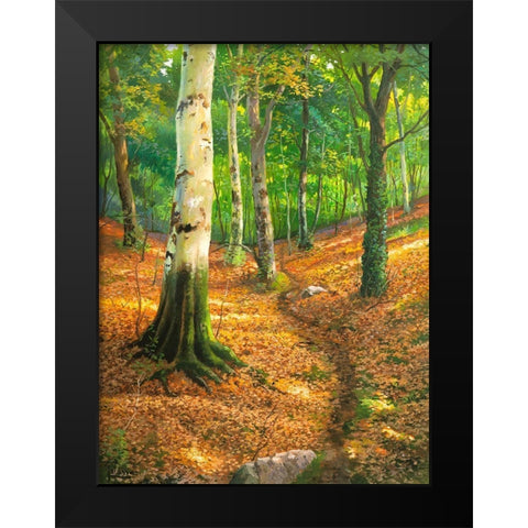 Sentiero nel bosco Black Modern Wood Framed Art Print by Galasso, Adriano