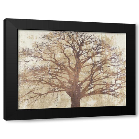 Sacred Oak Black Modern Wood Framed Art Print by Aprile, Alessio