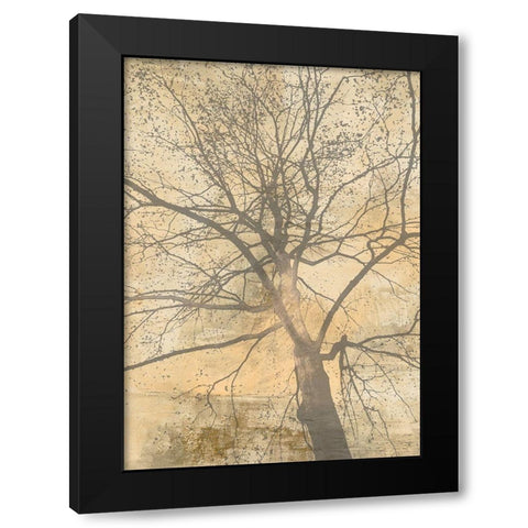 Below My Tree I Black Modern Wood Framed Art Print by Aprile, Alessio