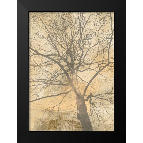 Below My Tree I Black Modern Wood Framed Art Print by Aprile, Alessio