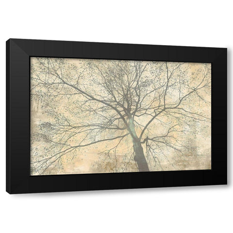 Below My Tree II Black Modern Wood Framed Art Print with Double Matting by Aprile, Alessio