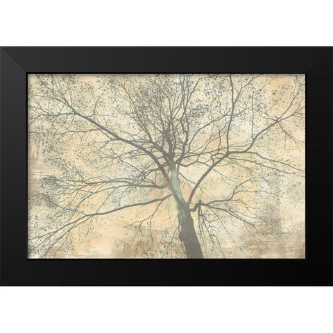 Below My Tree II Black Modern Wood Framed Art Print by Aprile, Alessio